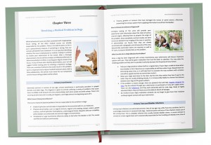 Pet Behavior Guide