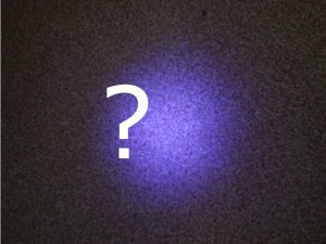 Where is my pet's hidden stain?